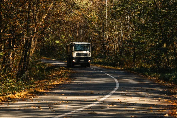 Boş bir asfalt yolda giden araba altın sonbahar manzaralı bir ormanın içinden geçiyor.