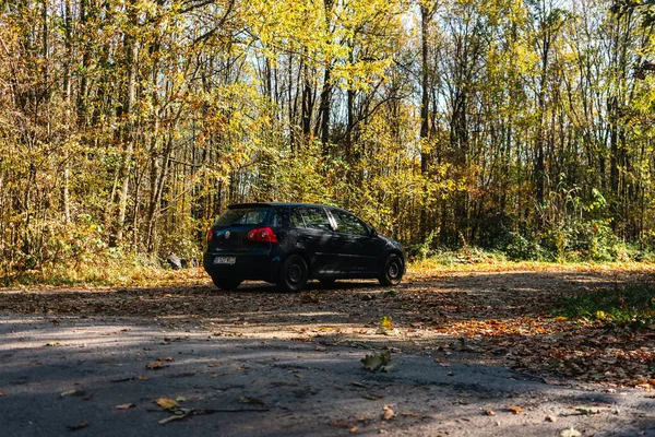 Boş bir asfalt yolda giden araba altın sonbahar manzaralı bir ormanın içinden geçiyor.