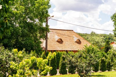Bükreş yakınlarındaki ormandaki Pasarea Manastırı (Pustnicu Manastırı) tarihi kilise mimarisinin güzel manzarası
