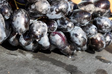 Taze iştah açıcı olgun kırmızı üzümler detaylı bir makro fotoğrafta deri dokusunu ve yiyecek arka planı için doğal gelişimi gösteriyor.