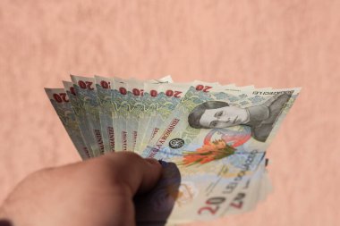 Romen para banknotlarını tutan, kağıt doku ve Rumen LEI para biriminin sembollerini gösteren bir adam.