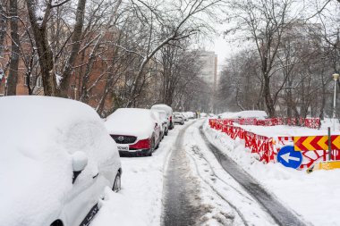 Bükreş 'teki yerleşim yeri Romanya' da şiddetli bir kar fırtınası sonrasında park halindeki araçlar derin karla kaplandı