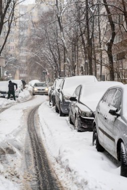 Bükreş 'teki yerleşim yeri Romanya' da şiddetli bir kar fırtınası sonrasında park halindeki araçlar derin karla kaplandı