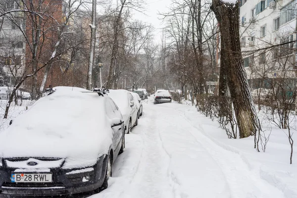 Bükreş 'teki yerleşim yeri Romanya' da şiddetli bir kar fırtınası sonrasında park halindeki araçlar derin karla kaplandı
