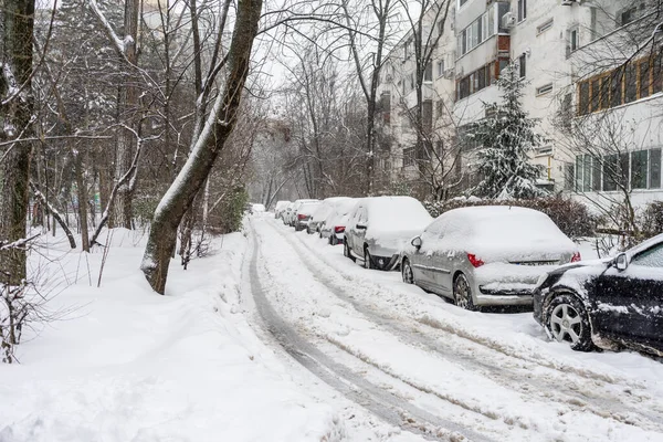 Bükreş 'teki yerleşim yeri Romanya' da şiddetli bir kar fırtınası sonrasında park halindeki araçlar derin karla kaplandı