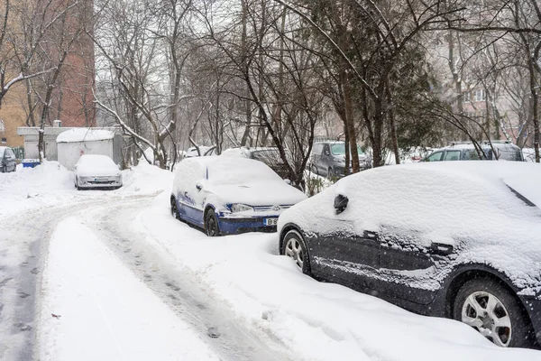 Bükreş 'teki yerleşim yeri Romanya' da şiddetli bir kar fırtınası sonrasında park halindeki araçlar derin karla kaplandı