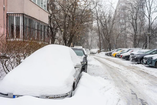 Bükreş 'teki yerleşim yeri Romanya' da şiddetli bir kar fırtınası sonrasında park halindeki araçlar derin karla kaplandı