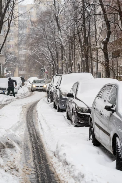 Bükreş 'teki yerleşim yeri Romanya' da şiddetli bir kar fırtınası sonrasında park halindeki araçlar derin karla kaplandı