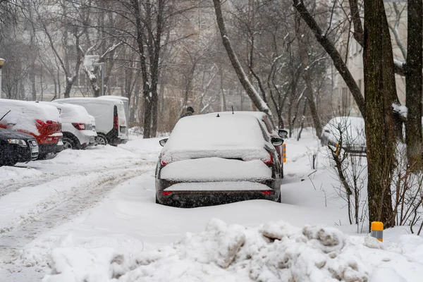 Bükreş 'teki yerleşim yeri Romanya' da şiddetli bir kar fırtınası sonrasında park halindeki araçlar derin karla kaplandı