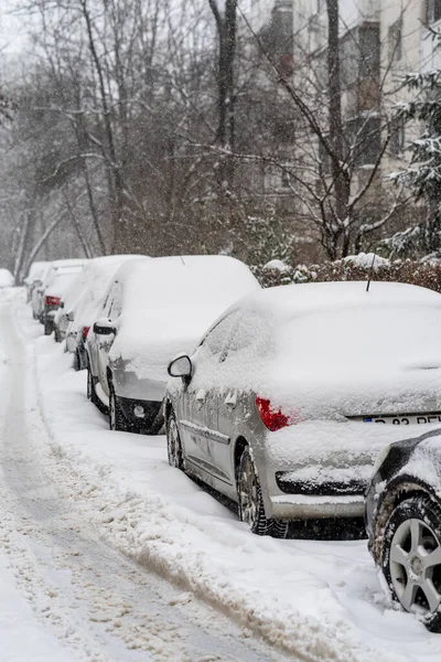 Bükreş 'teki yerleşim yeri Romanya' da şiddetli bir kar fırtınası sonrasında park halindeki araçlar derin karla kaplandı
