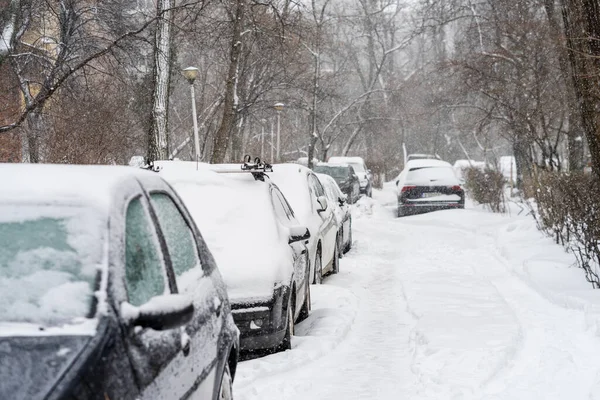 Bükreş 'teki yerleşim yeri Romanya' da şiddetli bir kar fırtınası sonrasında park halindeki araçlar derin karla kaplandı