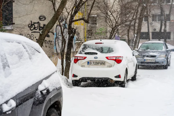 Bükreş 'teki yerleşim yeri Romanya' da şiddetli bir kar fırtınası sonrasında park halindeki araçlar derin karla kaplandı