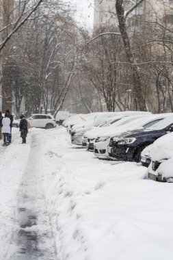 Bükreş 'teki yerleşim yeri Romanya' da şiddetli bir kar fırtınası sonrasında park halindeki araçlar derin karla kaplandı