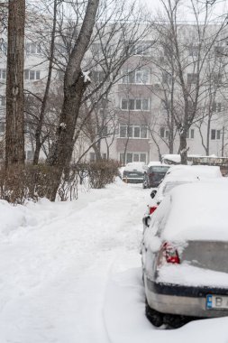Bükreş 'teki yerleşim yeri Romanya' da şiddetli bir kar fırtınası sonrasında park halindeki araçlar derin karla kaplandı