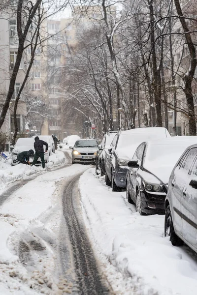 Bükreş 'teki yerleşim yeri Romanya' da şiddetli bir kar fırtınası sonrasında park halindeki araçlar derin karla kaplandı