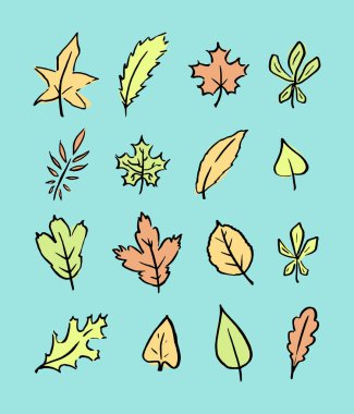 Sonbahar yaprakları. El çizimi doğrusal renkli çizimler. Vektör.