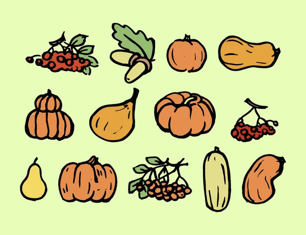 Herbsternte Eine Große Sammlung Von Kürbissen Zucchini Beeren Obst Und — Stockvektor