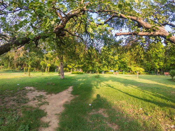 Picknickhydda Nära Ashok Vihar Delhi Indien Grund Coronavirus Pandemi Mycket — Stockfoto