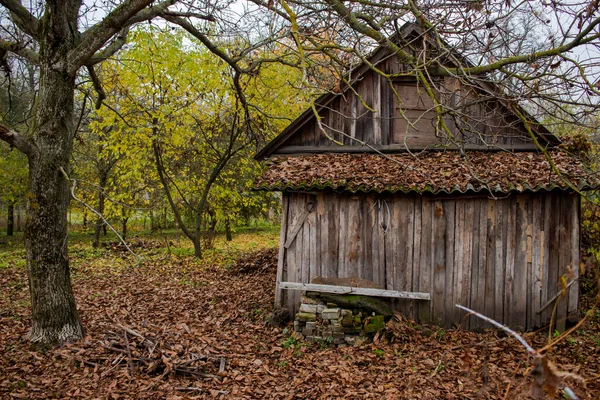 Opuszczony Dom Wsi Stary Drewniany Budynek Pokryty Liśćmi Starym Jesiennym — Zdjęcie stockowe