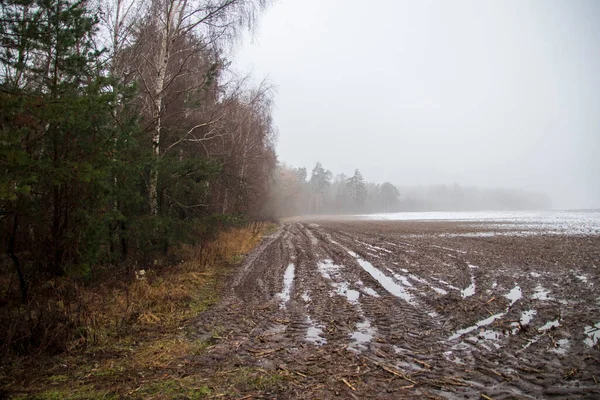 Skog Vid Åkern Med Snö Och Lera Tät Dimma Ensamhet Stockbild