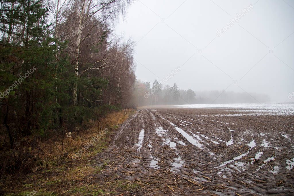 Forest by the field with snow and mud in dense fog. Lonelyness in the forest.