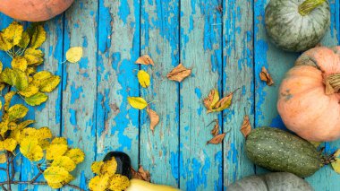 Düz kompozisyon, parlak sonbahar yaprakları ve eski mavi ahşap arka planda balkabağı. Doğal çerçeve. Üst görünüm, boşluğu kopyala. Doğal sonbahar arkaplanı