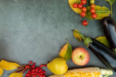 Sonbahar kompozisyonu. Organik ürünlerden sonbahar arkaplanı. Sonbahar hasadı düzleşmişti. Üst görünüm.