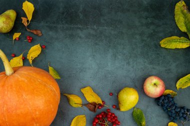 Sonbahar kompozisyonu. Organik ürünlerden sonbahar arkaplanı. Sonbahar hasadı düzleşmişti. Üst görünüm.