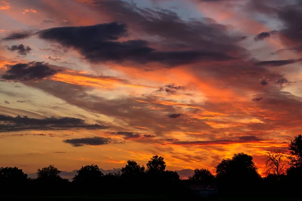 Beautiful sunny sunset with silhouettes of trees at the bottom of the frame. Place for your text. — Stock Photo, Image