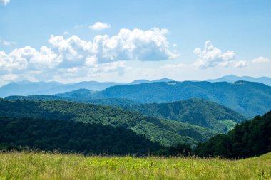 Dağ manzarası. Yeşil çimenler, mavi dağlar, çiçekler ve iğneler. Temmuz ayında Ukrayna 'da Karadağ sırtı. Karpat Dağlarında Yürüyüş.