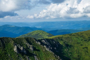 Dağ manzarası. Yeşil çimenler, mavi dağlar, çiçekler ve iğneler. Temmuz ayında Ukrayna 'da Karadağ sırtı. Karpat Dağlarında Yürüyüş.