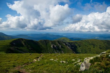 Dağ manzarası. Yeşil çimenler, mavi dağlar, çiçekler ve iğneler. Temmuz ayında Ukrayna 'da Karadağ sırtı. Karpat Dağlarında Yürüyüş.