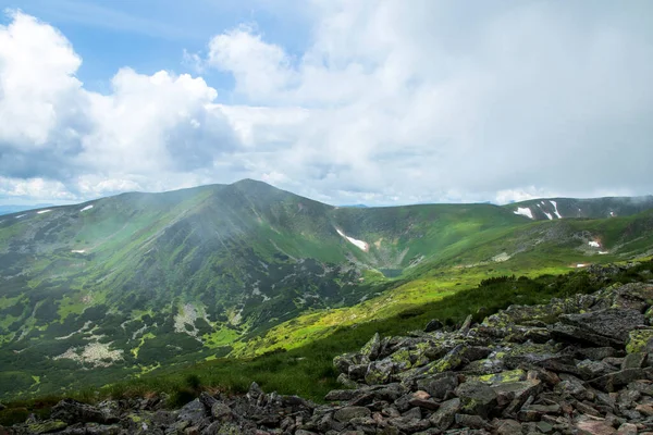 Dağ manzarası. Yeşil çimenler, mavi dağlar, çiçekler ve iğneler. Temmuz ayında Ukrayna 'da Karadağ sırtı. Karpat Dağlarında Yürüyüş. — Stok fotoğraf
