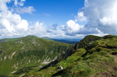 Dağ manzarası. Dağ sırası. Yeşil çimenler, mavi dağlar, çiçekler ve iğneler. Temmuz ayında Ukrayna 'da Karadağ sırtı. Karpat Dağlarında Yürüyüş.