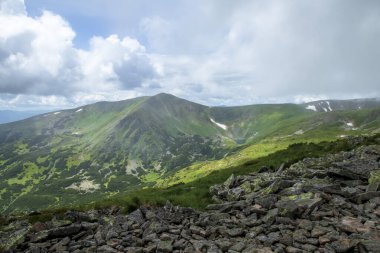 Dağ manzarası. Dağ sırası. Yeşil çimenler, mavi dağlar, çiçekler ve iğneler. Temmuz ayında Ukrayna 'da Karadağ sırtı. Karpat Dağlarında Yürüyüş.