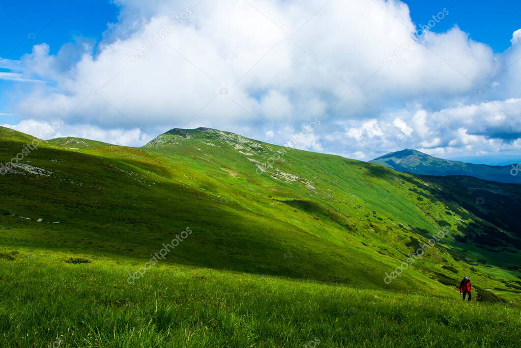 Mountain landscape. Mountain range. Green grass, blue mountains, flowers and needles. Montenegrin ridge in Ukraine in July. Hike in the Carpathian Mountains.