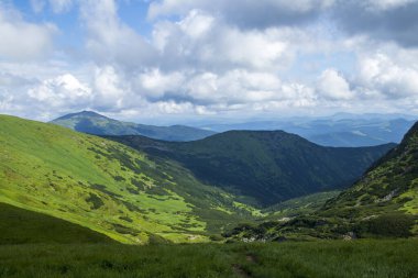 Dağ manzarası. Dağ sırası. Yeşil çimenler, mavi dağlar, çiçekler ve iğneler. Temmuz ayında Ukrayna 'da Karadağ sırtı. Karpat Dağlarında Yürüyüş.