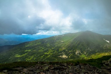 Dağ manzarası. Dağ sırası. Yeşil çimenler, mavi dağlar, çiçekler ve iğneler. Temmuz ayında Ukrayna 'da Karadağ sırtı. Karpat Dağlarında Yürüyüş.