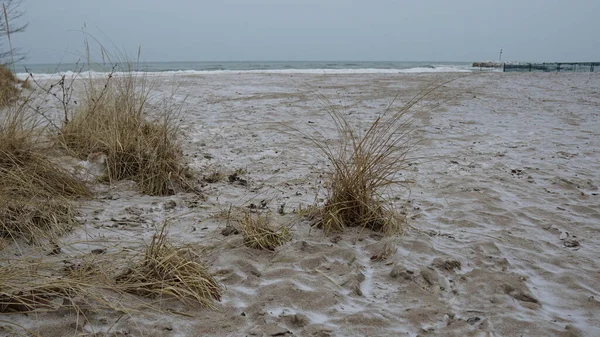 Michigan Gölü sahilinde karlı bir gün.