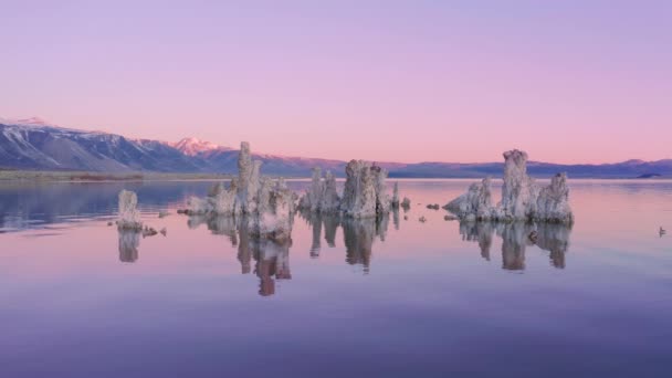 Roze stille wateroppervlak, prachtige natuur achtergrond met kopieerruimte aan de hemel — Stockvideo