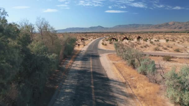 Estrada vazia em Anza Borrego Desert, Califórnia, EUA — Vídeo de Stock