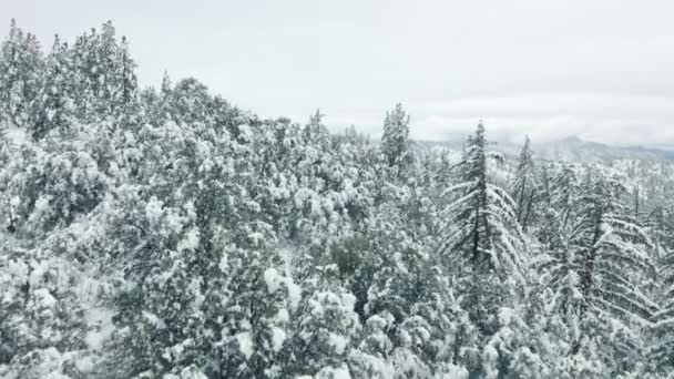 Calmar y relajante aérea del paisaje montañoso cubierto por la nieve 4K — Vídeo de stock