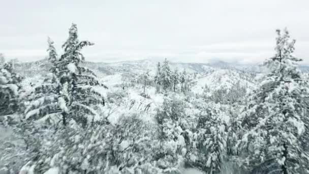 Vista de cuento de hadas de las maravillas del invierno. Soñando volar sobre árboles de bosque nevado — Vídeo de stock