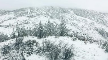 Ormanda kar yağışı, yağan karla birlikte güzel bir Noel günü, 4K