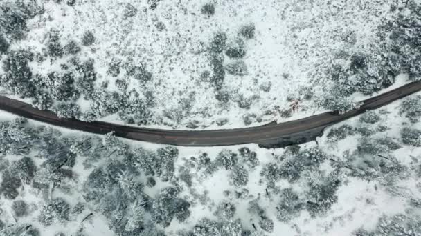 Повітряний вид на гірську дорогу, що звивається в лісі. Північний краєвид взимку. — стокове відео