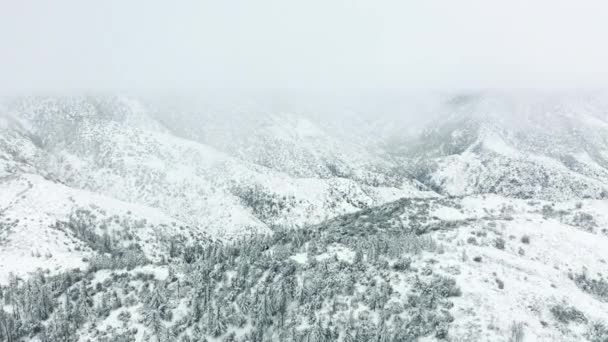 Drone volando a través de la niebla y la tormenta de nieve con nevadas en el día frío nublado, 4K EE.UU. — Vídeo de stock