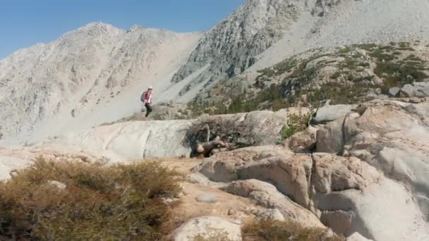 Podróż na świeżym powietrzu. Kobieta biegnąca przez szczyt skały w słoneczny letni dzień — Wideo stockowe
