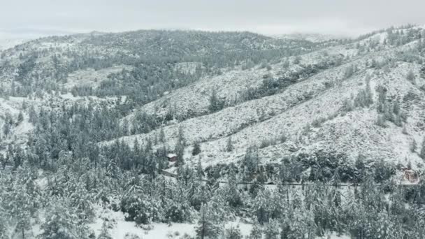 Paysage hivernal panoramique. Chute de neige aérienne en montagne avec pins neigeux 4K — Video