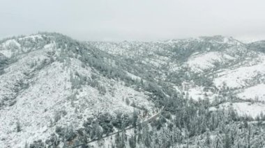 Havadan kış manzarası. Dağda karlı çam ağaçları ve 4K manzaralı kar yağışı