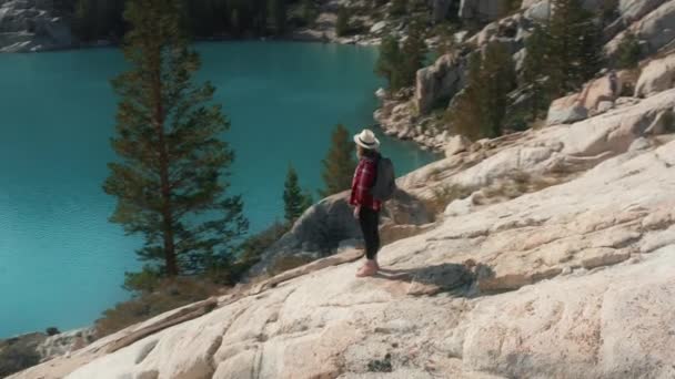 Een vrouw die geniet van het bergmeer. Terug uitzicht gelukkige reiziger openen handen naar de zon — Stockvideo